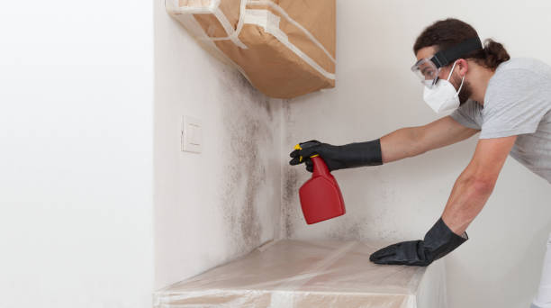 Professional Basement Mold Remediation technician working in Sanford, NC