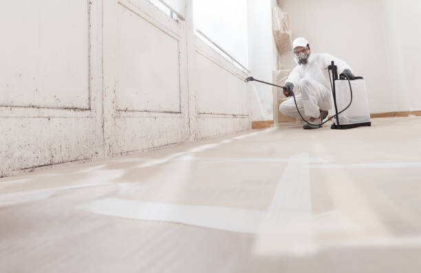 24/7 Emergency Basement Mold Remediation experts in Sanford, NC