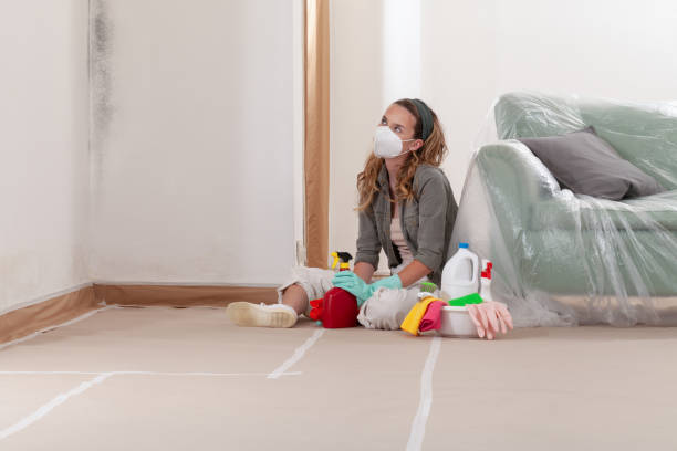 Reliable Basement Mold Remediation contractor in Sanford, NC by Car Mold Remediation